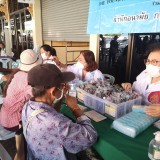 มูลนิธิฯ ร่วมกับ ร่วมกับสำนักอนามัย กรุงเทพมหานคร และสำนักงา ... Image 1