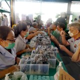 มูลนิธิฯ ร่วมกับ สำนักอนามัย จัดโครงการกรุงเทพฯ ห่วงใย ใส่ใจ ... Image 4